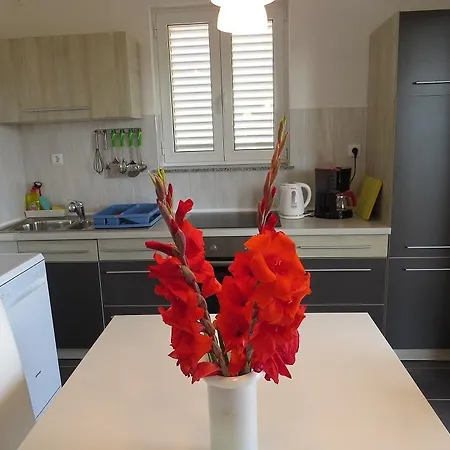 Apartment Palma Rosa